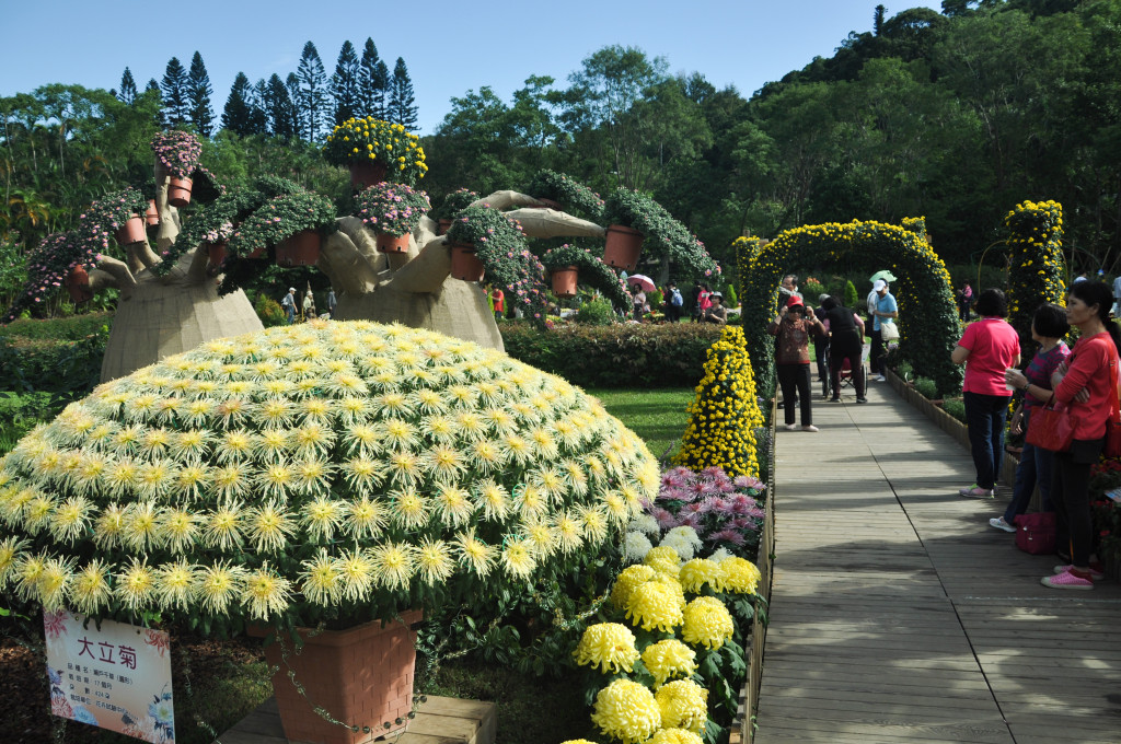  士林官邸菊展是一年一度國內花卉界的知名展覽，今年公園處將園內布置成各類電影經典場景。圖／台北市工務局公園處