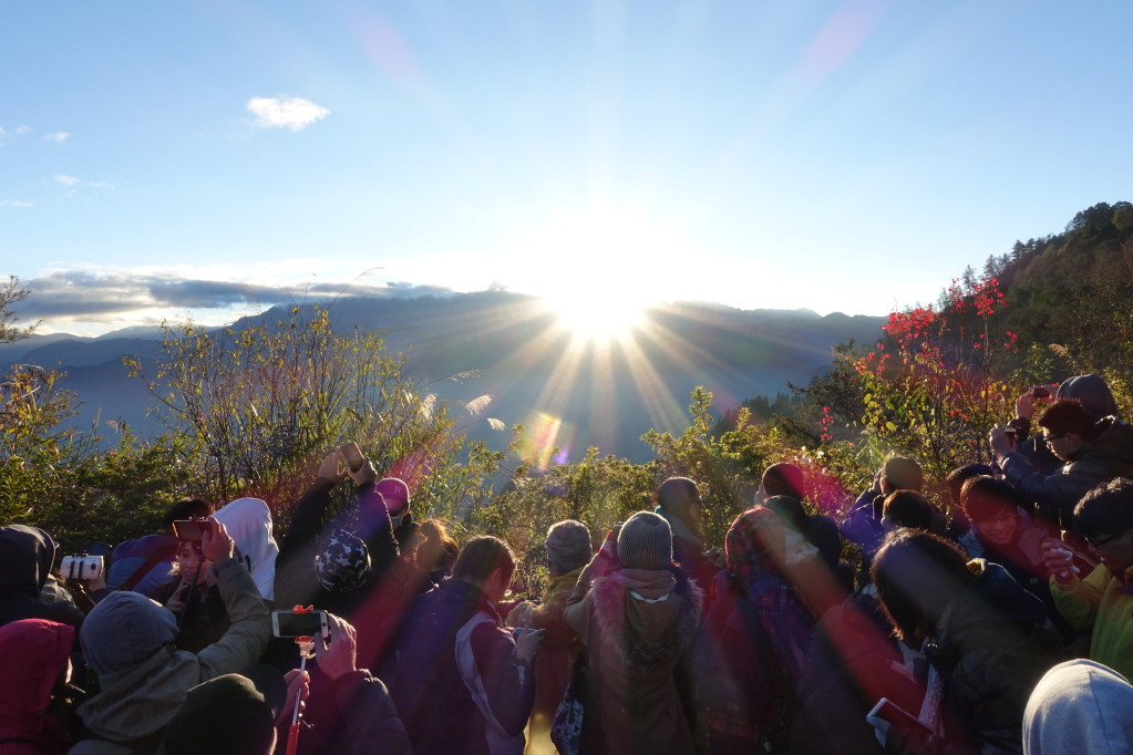 2018年阿里山上的第一道曙光。圖／林務局提供