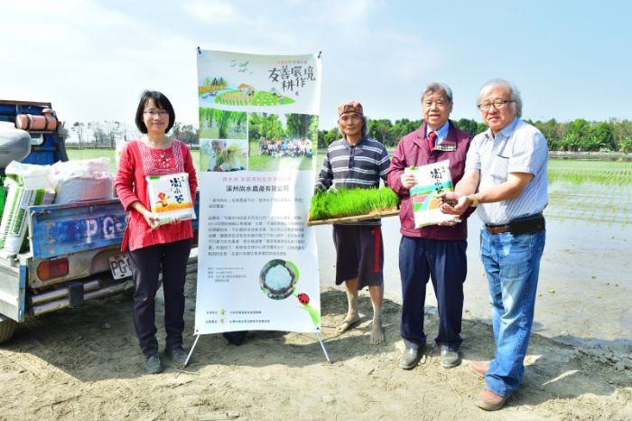 「第一名店香菇王」特與彰化溪州友善小農催生者吳音寧所率領青農，契作播種優質越光米，並結合傑出農業專家施昭彰博士和火山灰丶蚯蚓糞肥廠商合作，是台灣首次水稻田的施肥創舉。圖／王義郎提供