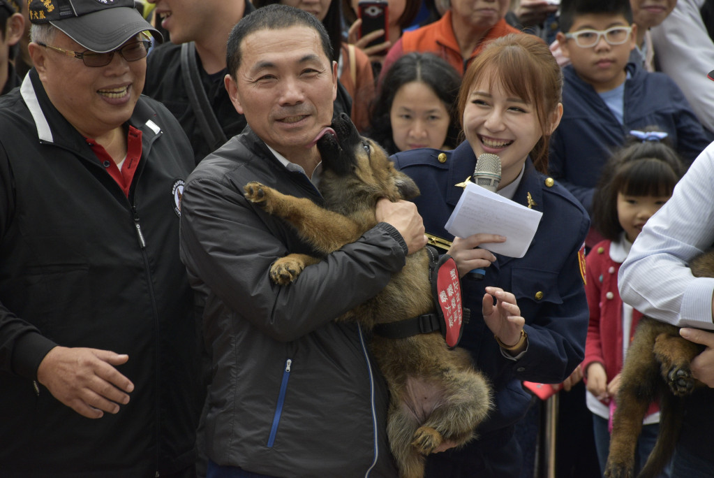 兩個月大的小狼犬活潑好動，在侯友宜懷中扭動，還舔了好幾下侯友宜的臉。圖／鍾孟軒