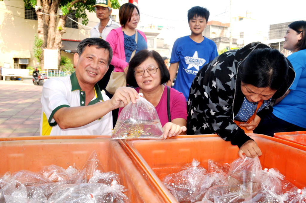 孔雀魚魚體體積小，水質生態要求不高，且牠又以孑孓為食物源，可配合利用生物防治法，放養孔雀魚吃孑孓「認購孔雀魚活動」27日將再到疫情最嚴重的台南舉辦，義賣所得將全部捐贈給弱勢團體。。（照片/黃昭展辦公室提供）