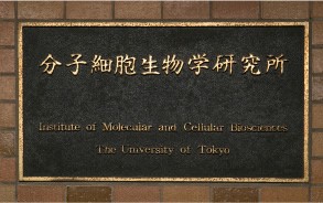 東京大學分子細胞生物学研究所。圖／本文作者朱真一取自東京大學網站 (http://www.a.u-tokyo.ac.jp/campus/images/campus-imcb.jpg)