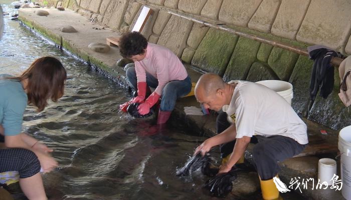 台中沙鹿的南勢溪，溪中遍布湧泉，冒出清淨水源，是充滿生態的溪流。溪中有處百年洗衣場。圖／公視《我們的島》