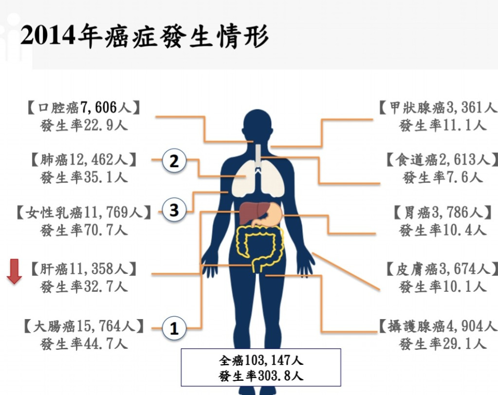 國健署今天公布民國103年(2014年)癌症登記報告，罹癌人數再攀高，大腸癌第九度居冠。圖／國健署提供