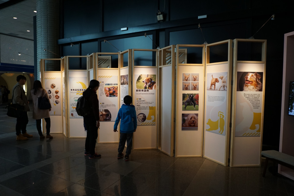 台中科博館汪星人躲貓貓——狗的特展。圖／國立科博館