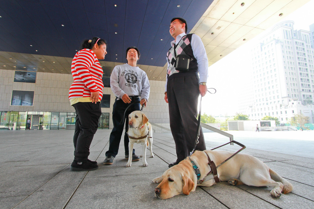 近日傳出導盲犬寄養家庭帶訓練中導盲犬至飯店西餐廳用餐，卻遭業者限制於餐廳「特定區域」的情形。圖／台中市府新聞局提供