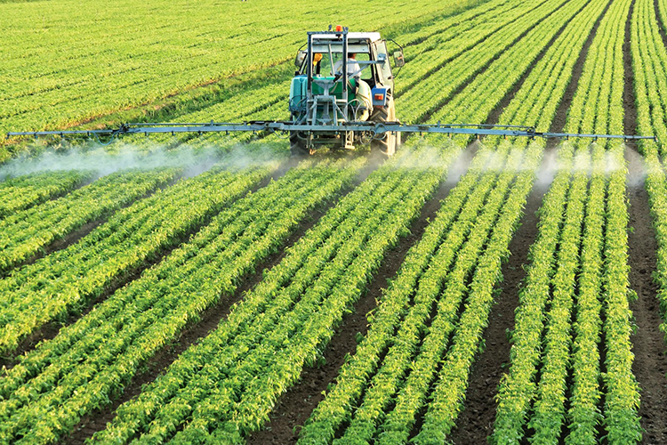 美國基改作物的農藥噴灑（圖片：Courtesy of Eco Watch /Shutterstock）