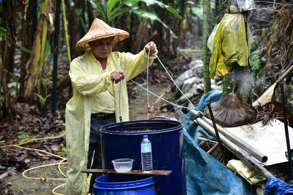 陳水木的農業知識來自社會大學,由於他自家香蕉園曾發生過黃葉病,因此他在汲取專家知識後自行研究,經過10年研發出採用「蕈狀芽孢桿菌」抗衡病菌的方法。圖/南投縣政府
