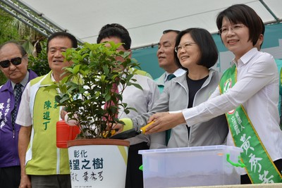 蔡英文（右2）參加彰化縣立委參選人黃秀芳競選總部成立大會，和黃秀芳（右）一起種下希望之樹。(中央社)