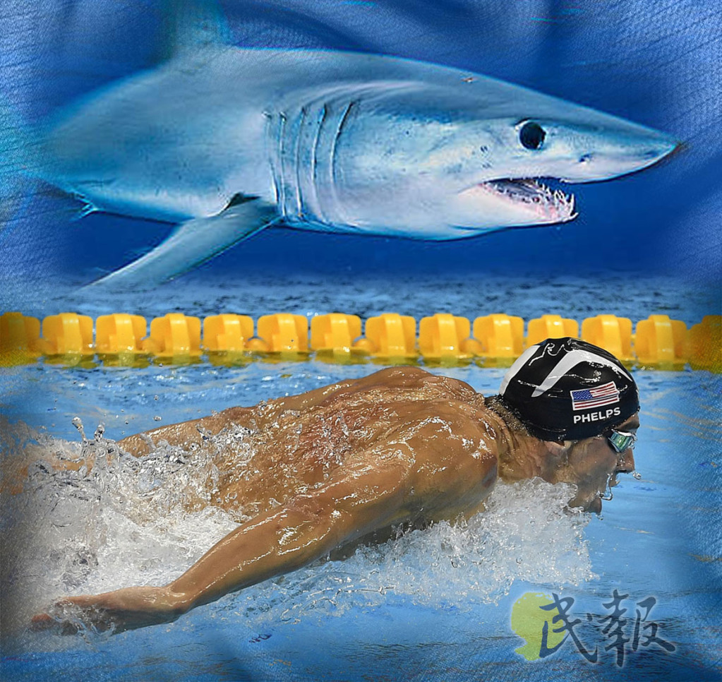 菲爾普斯v.s大白鯊：超級金v.s超級白《Phelps Vs Shark：Great Gold Vs Great White》將在美東時間7月23號晚間8點播映。圖／取材自網路《民報》影像合成