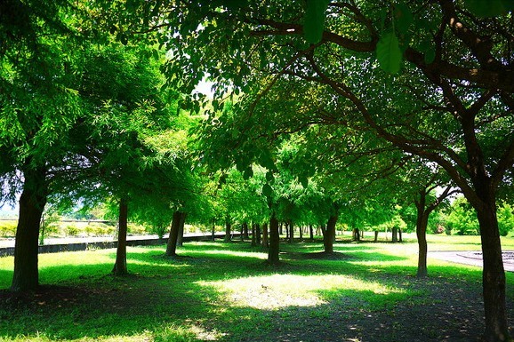 安農溪分洪堰風景區佔地兩公頃，區內不少飛禽棲息，亦有罕見植物密佈，是兼具觀賞美景及研究自然生態的風景點。