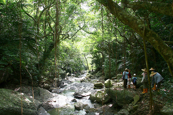 屏東是目前國內生態旅遊最多數量地點，並已由點到線到面串連逐步擴大生態旅遊經濟規模。（圖為里德社區欖仁溪，摘自屏東社區生態旅遊網）