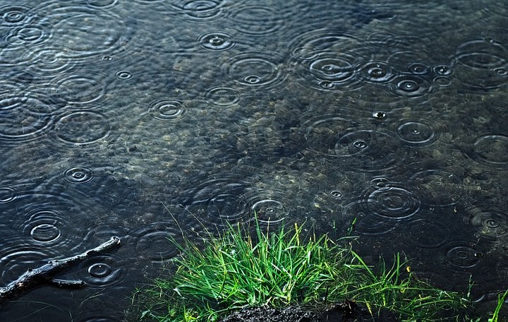 Sà-sà叫ê大雨直透落，外口ê穡頭生成lóng bē tín動--得，勼tī厝內連suà三工lóng leh聽雨聲、看溝仔ê流水，心肝kiōng-beh鬱卒--起-來。圖／取自Pixabay