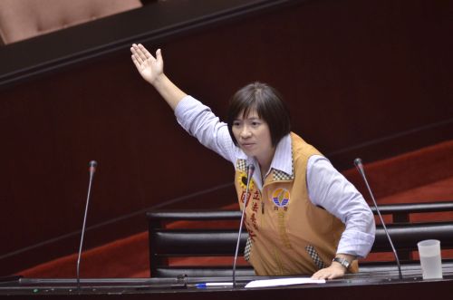 台聯立委周倪安今天質詢行政院長毛治國，324政院流血衝突事件至今滿週年，打人警察竟然還找不到。(周倪安立委辦公室圖片提供)