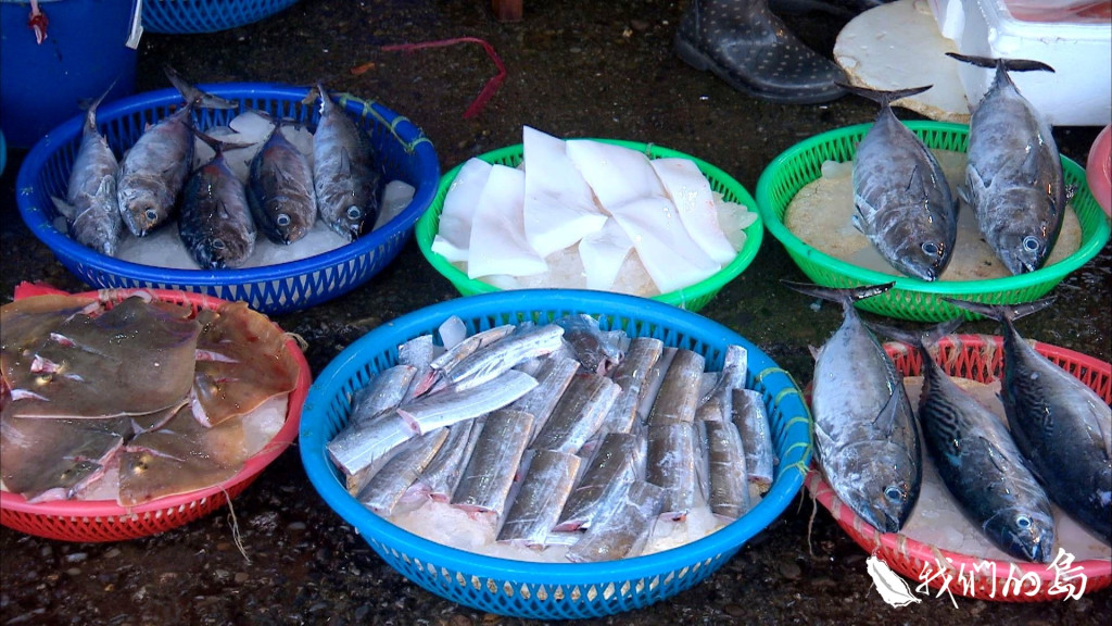 台灣沿近海魚類多達一百多種，近年來漁業資源銳減，但大多數漁獲卻沒有被好好利用。圖／公視《我們的島》