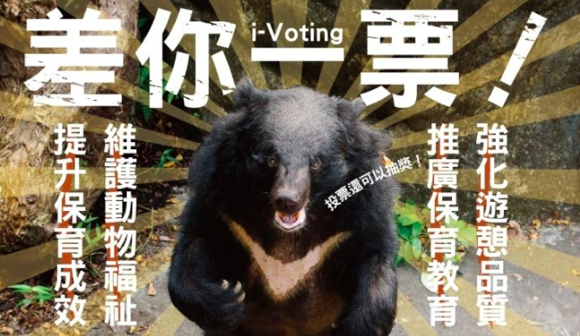 台北市立動物園發起ivoting投票，詢問民眾是否支贊同動物園每年在淡季六月休園12天進行維護工作。圖／取自ivoting投票頁面