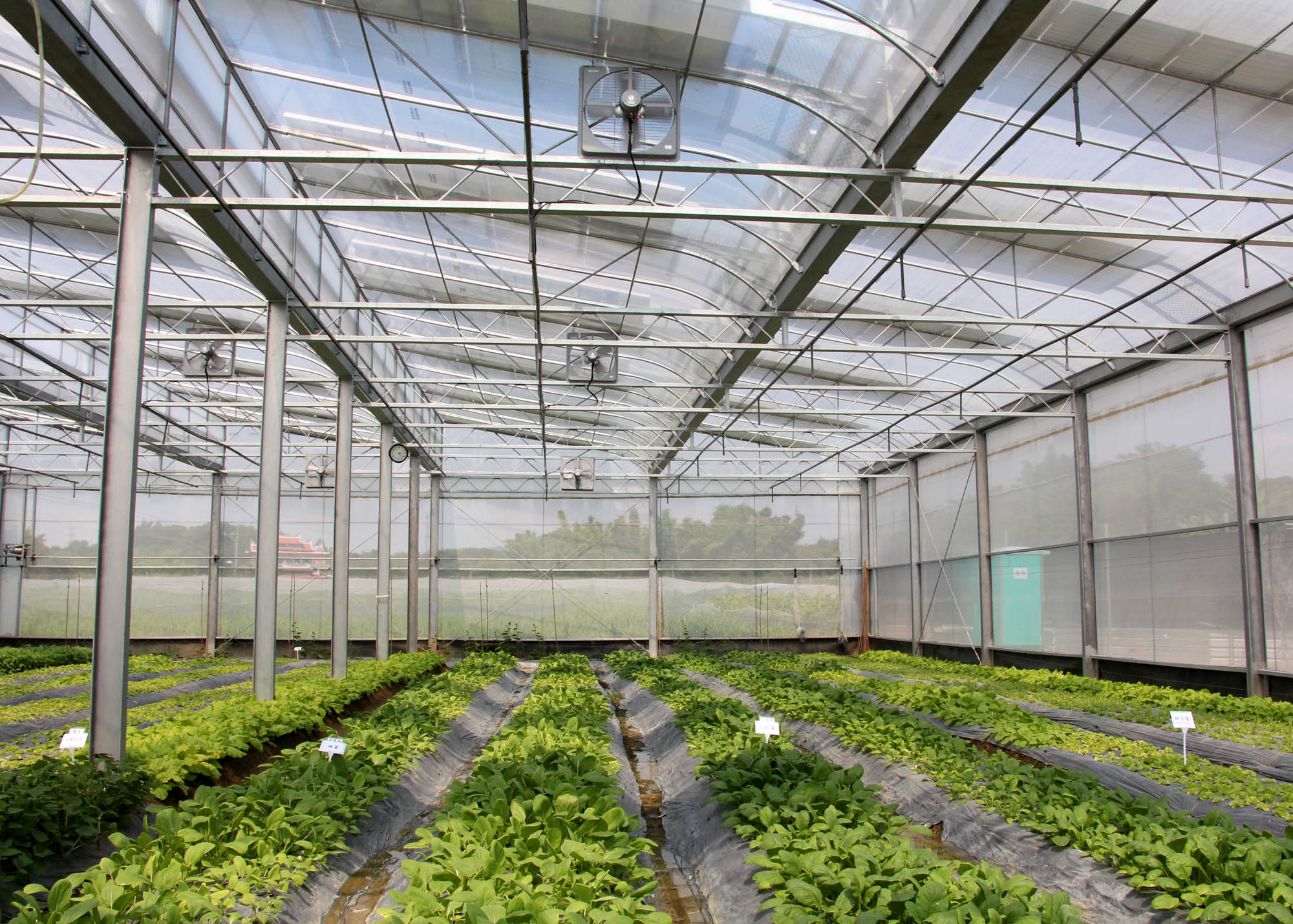 高雄市第一家太陽能示範農棚今（21）日於燕巢區正式啟用。(記者陳俊廷攝)