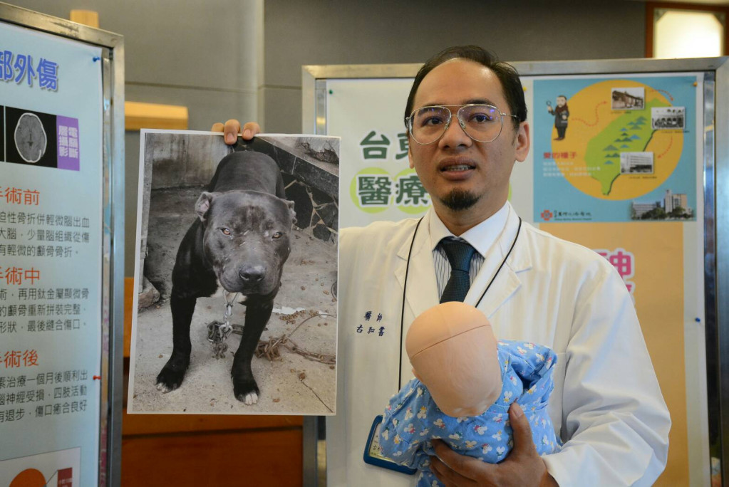 古和書醫師述說案發情況，圖中就是把男童咬成重傷的比特犬。圖／台東馬偕醫院提供