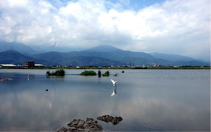 五十二甲濕地有著豐富的魚、貝及無脊椎動物，溼地內蘆葦、五節芒叢生，有機碎屑豐富，水生植物亦多，提供雁鴨科留鳥一個極佳的過冬繁衍之所。