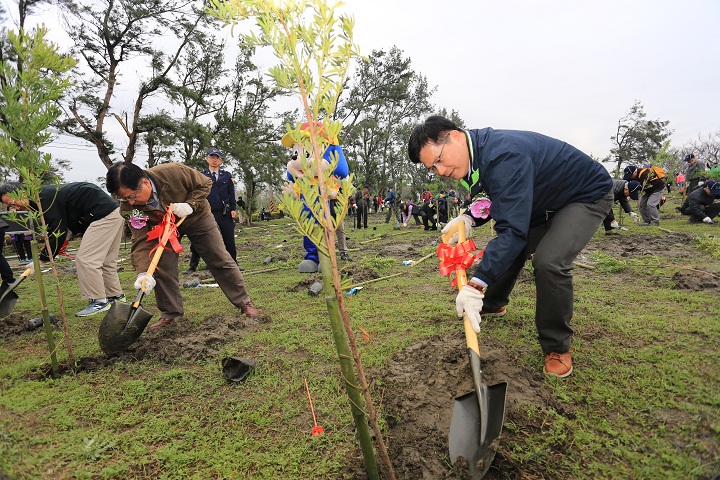 「8年種植100萬棵樹」是新市府團隊的重要施政目標，今年植樹節恰逢假日，市府安排多處植樹活動，也鼓勵學生種「菁菁校樹」。市府另結合民間團體，到高鐵送各種原生種樹苗，使交通碳足跡變綠足跡。（中市新聞局提供）