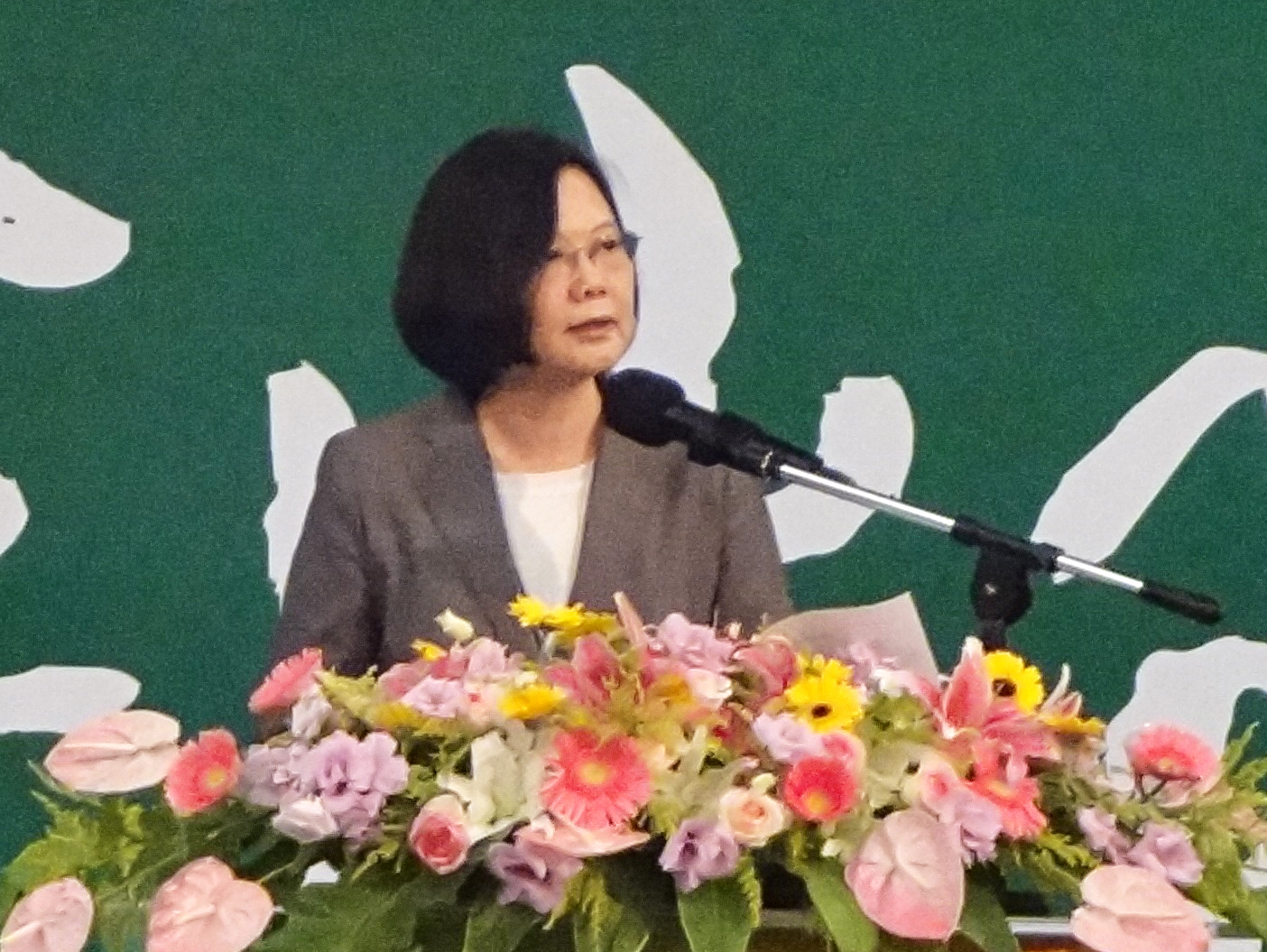 蔡英文呼籲政府注意伊波拉國際疫情蔓延。（記者劉明堂攝）