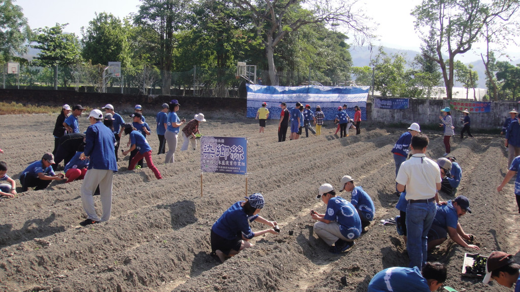 廣興國小師生將復育成功的「木藍」苗移植到田區（照片高市教育局提供）