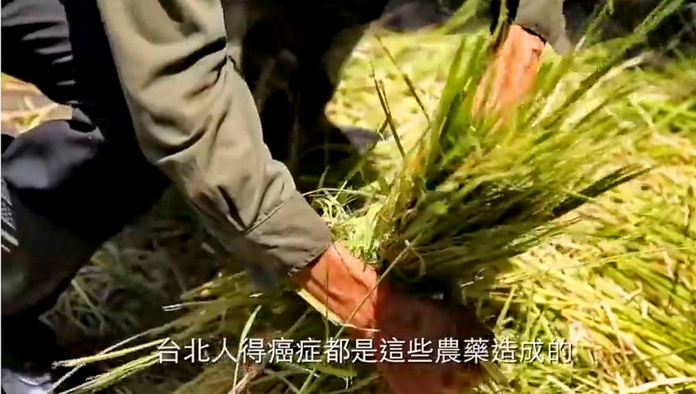 里山台灣4分鐘預告片中內容（記這陳俊廷翻攝）