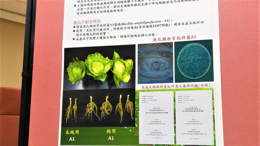 高師大巢校區泥火山找出一種可促進植物生長與溶磷作用的「液化澱粉芽孢桿菌」屬於一種微生物製劑，可以有效幫助施於土壤中的磷肥轉化成作物可利用的磷肥，大大提升作物的品質及產量。而且此微生物製劑是一種安全菌種(右)(圖/陳俊廷)