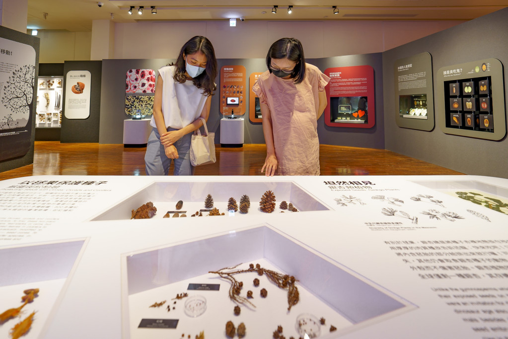 台博館即日起至110年10月31日推出「孩籽—聽種子的故事」特展。圖／擷自台博館臉書