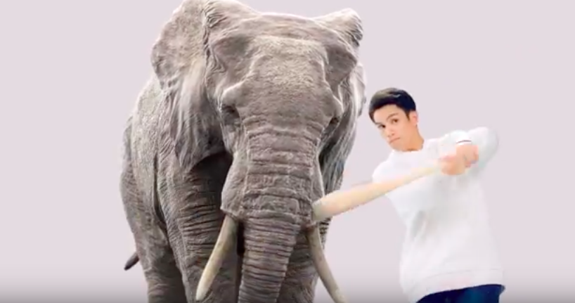 陽岱鋼呼籲保護大象，拒絕使用購買象牙產品。圖／擷取自廣告影片