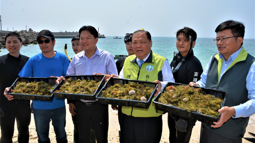 陳光復表示，今年預計放流5萬顆馬糞海膽與清除5萬公尺海底沉網，期盼藉由縣府努力，保護海洋生態。