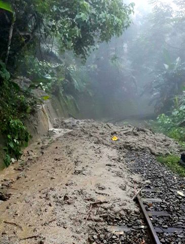 阿里山森林鐵路抵擋不住連日豪雨沖刷，土石流不斷傾瀉而下，台鐵上午緊急宣布停駛。(圖/fun 台鐵)