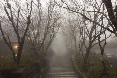 入冬首波大陸冷氣團來襲，太平山國家風景區雲霧縹緲，美得令人屏息。(圖/中央社)