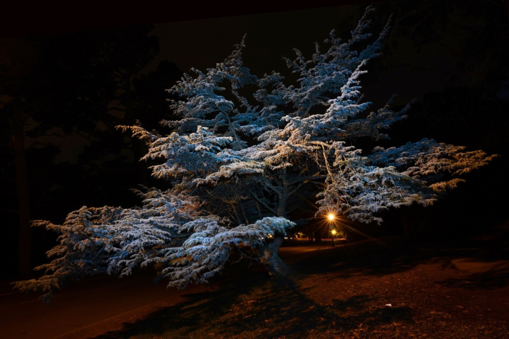 蔡寬愛的攝影作品，有接近抽象畫，也有如彫刻作品，樣態多端，細細品嚐，當能對大自然多一份欣賞和感動。圖/蔡寬愛提供