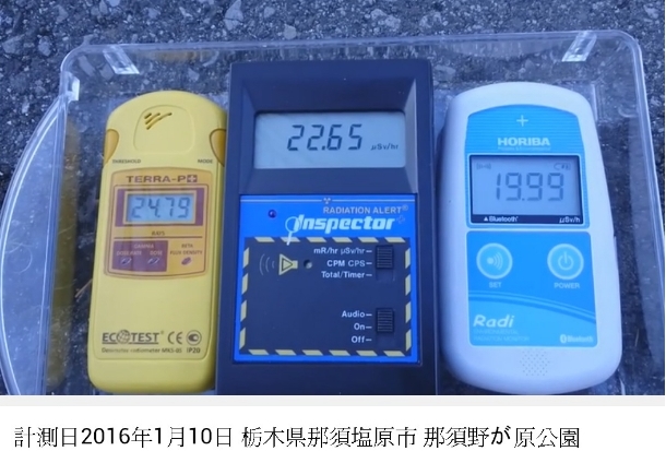 影片截圖，日本民眾於2016年以3種不同計測器至栃木縣北公園，皆測得線量約20微西弗/時左右。圖／宋瑞文提供