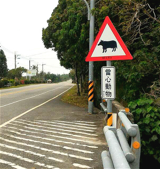 東海岸公路路邊設有「小心有牛」號誌，提醒來往車輛注意。（警方提供）
