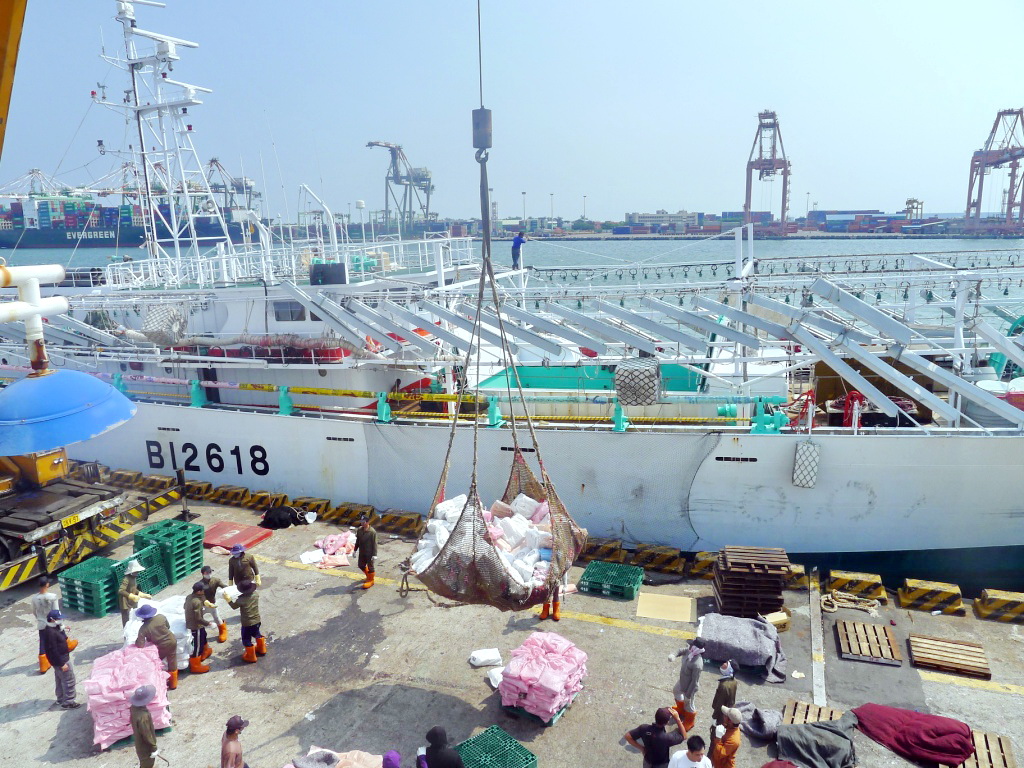 高雄魷釣船，滿載豐收入港卸魚。（照片海洋局提供）