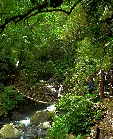 過了這個吊橋，第二層新寮瀑布就快到了。（本文圖片由作者提供）