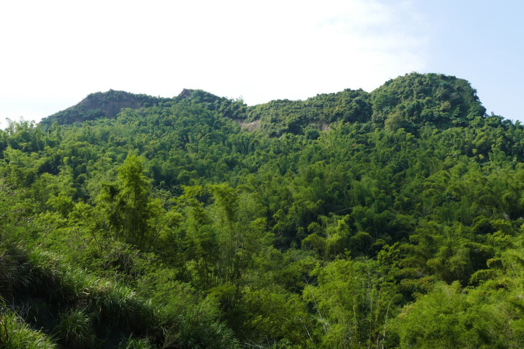 山不在高，有仙則靈。位處高雄內門、田寮及旗山交界處的「馬頭山」（圖1）就是這麼一座充滿神奇色彩的傳奇山頭。（圖1／高雄馬頭山，被台灣原生的刺竹林重重圍繞。作者提供）