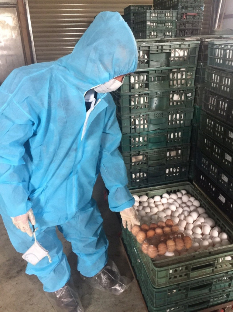 彰化鴻彰養雞場雞蛋驗出戴奧辛，經農委會與相關單位檢驗後發現污染物是TCDF，懷疑是飼料添加物受到污染，但污染源仍待追查。圖／彰化縣衛生局提供