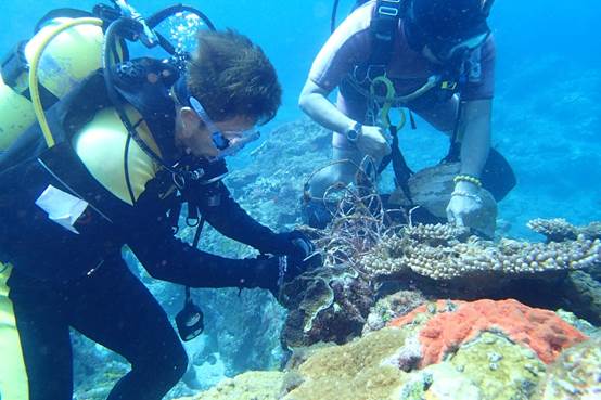 台東縣環境保護局結合綠島鄉公所、海巡署東部地區巡防局、綠島潛水協會等單位進行淨灘與海底垃圾清除作業，海底充斥各種垃圾 。（圖／台東縣環保局提供）