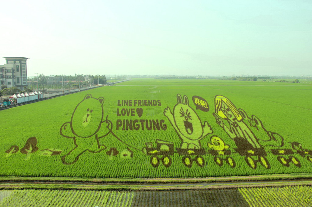 LINE-FRIENDS卡通明星彩稻田正式登場亮相（照片屏東縣府提供）