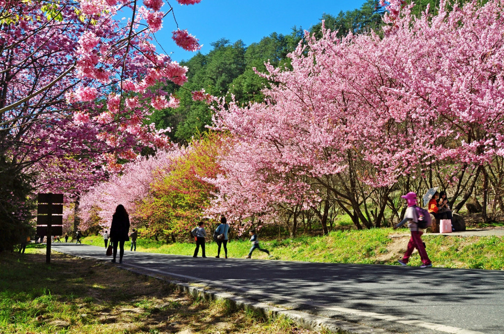 今日白天受偏南風影響，北部、東半部高溫大約28、29度、中南部甚至可以達30度，但仍需注意日夜溫差。圖／郭文宏（資料照）