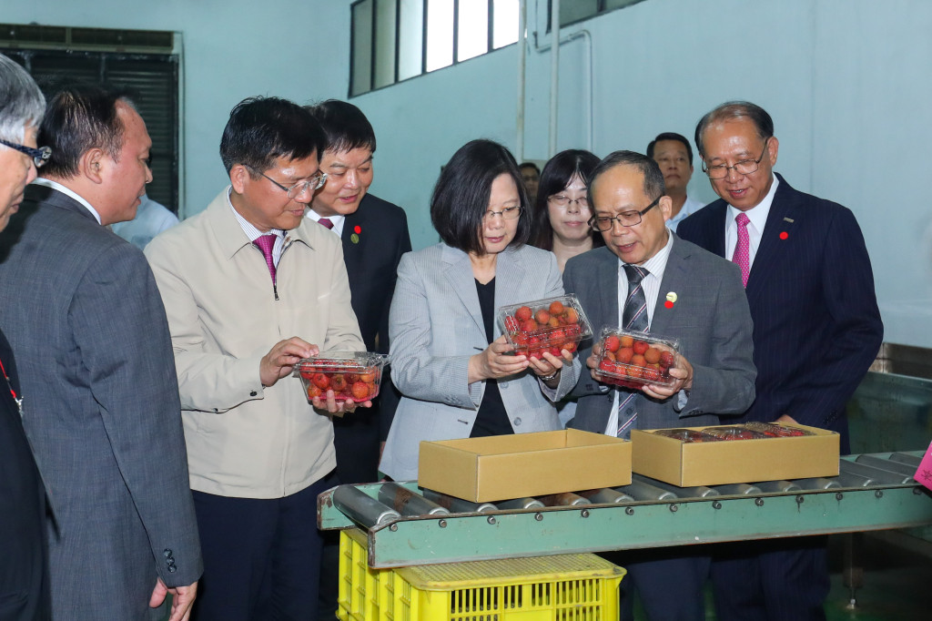 蔡總統強調，台中近年整合民間與學界的資源，致力於農業創新，最後達到外銷目標，荔枝能夠用它原來的樣子到消費者手上，顯示台灣農業出口在國際上具競爭力，且展現台灣農業實力。（台中市新聞局）