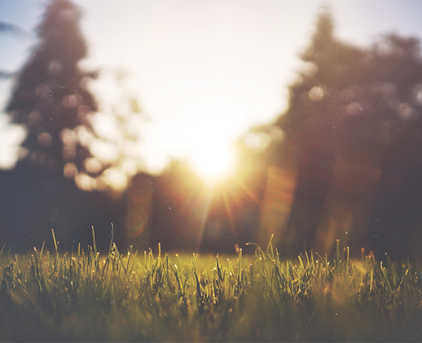 (圖取材於網路)