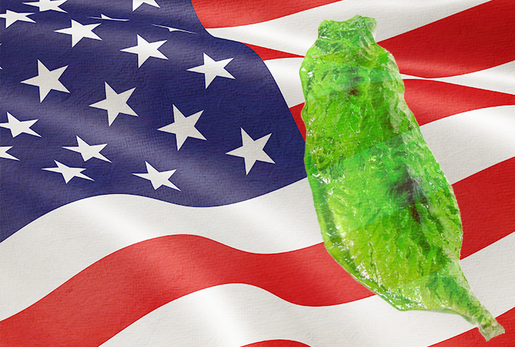 臺灣人要積極去影響美國政府的對臺政策。(網路資料,民報合成)