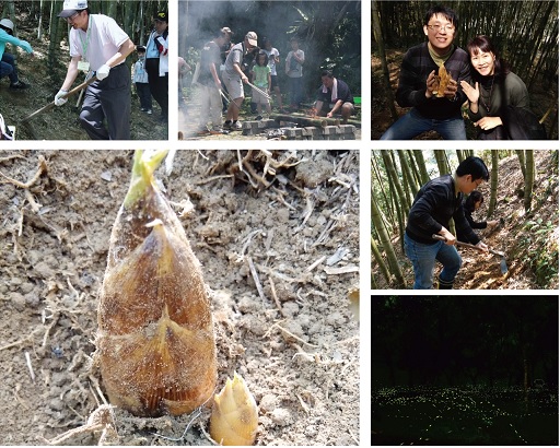 國立科博館鳳凰谷鳥園生態園區辦理自然饗宴，挖春筍、賞瑩火蟲、生態教育，還有如詩如畫的風景，曷興來乎？（國科館提供）