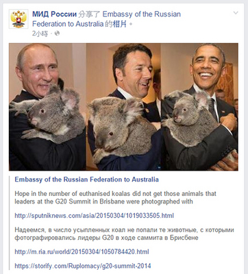 澳洲當局安樂死無尾熊以控管數量，俄國駐澳洲大使館4日在臉書上貼文表示，「希望沒有G20會議時和元首們合照的那幾隻。」（取自俄羅斯外交部臉書）中央社莫斯科傳真　104年3月4日