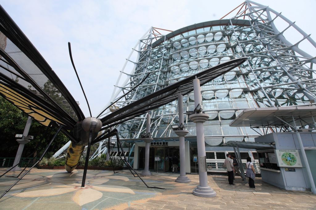 在很多人感動這種有夢最美逐夢相隨軟實力行動的同時,是否可以順便檢視臺灣這麼多年一直強調的硬體文化,尤其連國立自然科學博物館都以"發展地方繁榮"和"解決停車問題"為由要把上面種有著名的地標樹「澳洲瓶幹樹」的地開挖變成停車場引起環保團體和附近居民反對。(圖為國立自然科學博物館)