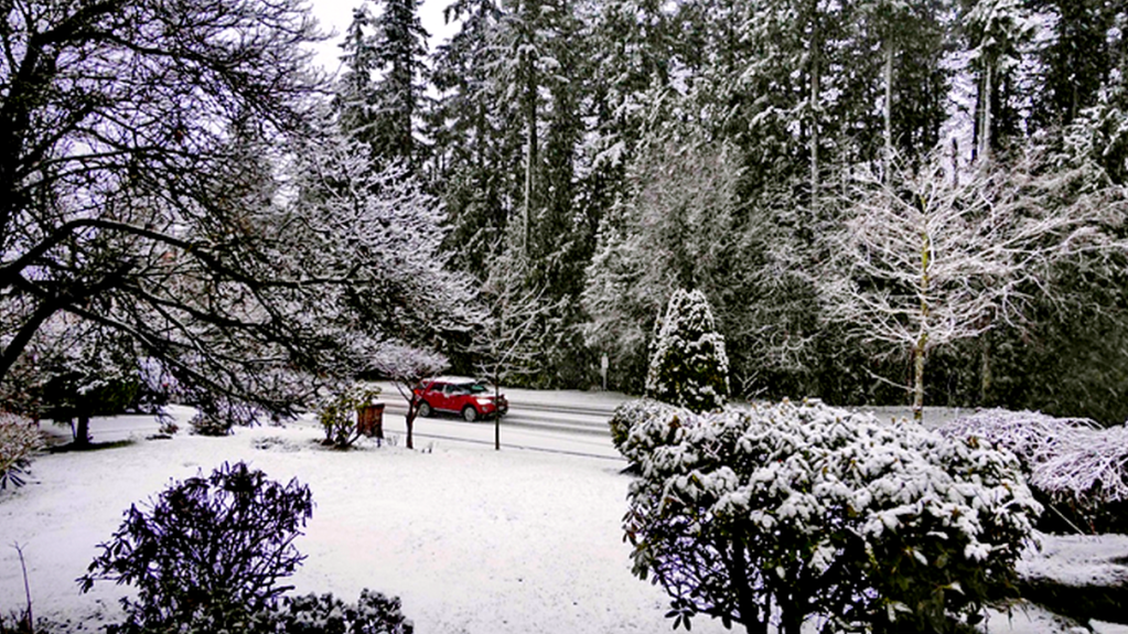 冰天雪地的加拿大溫哥華雪景(記者林崑峯攝)